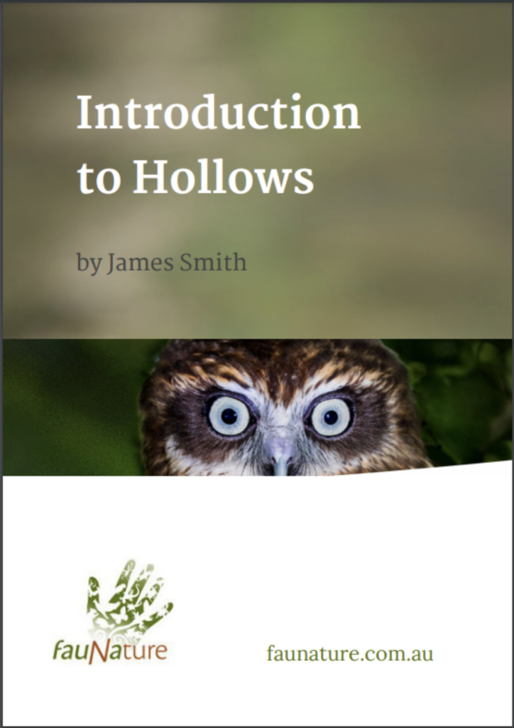 Introduction to Hollows ebook